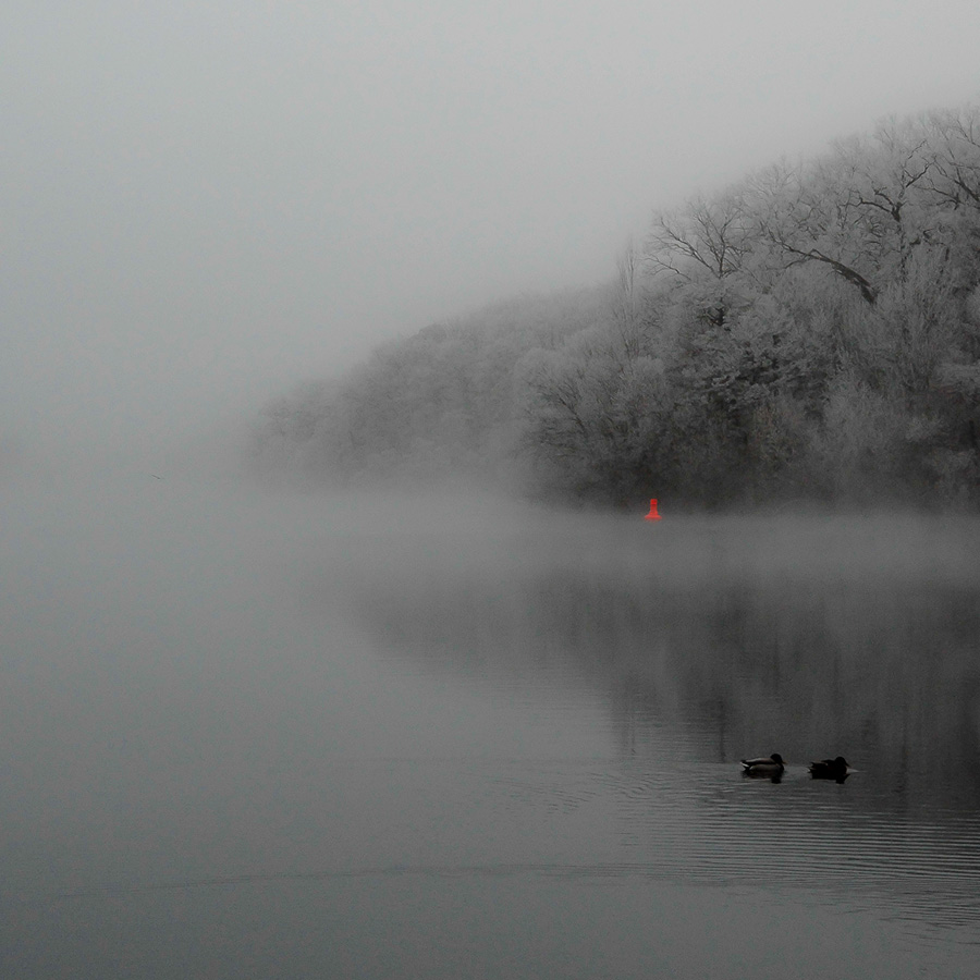 Griebnitzsee im Winter