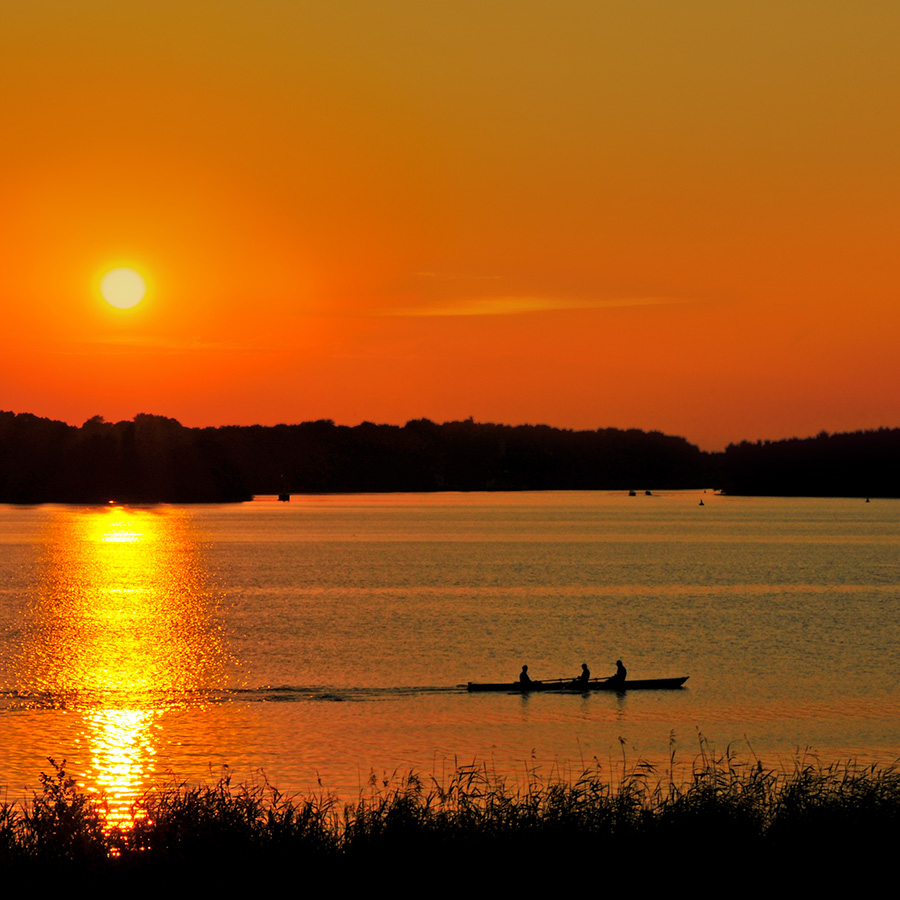 Ruderer in der Abenddämmerung auf dem Jungfernsee