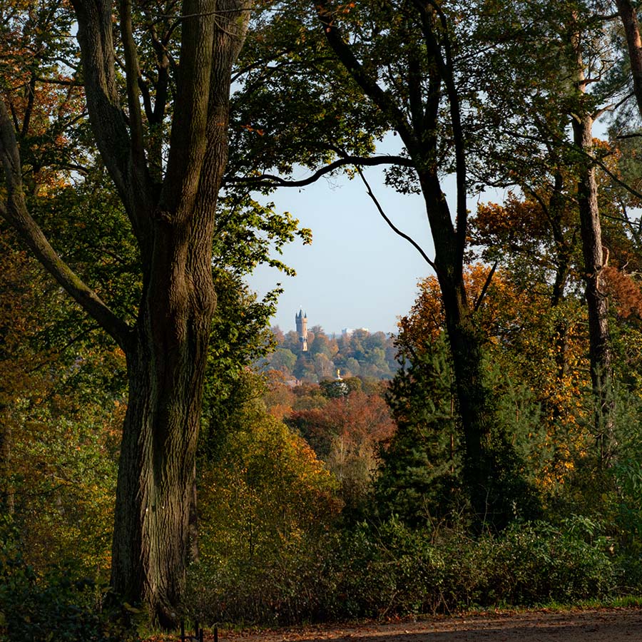 Sichtachse vom Pfingstberg auf den Flatow-Turm