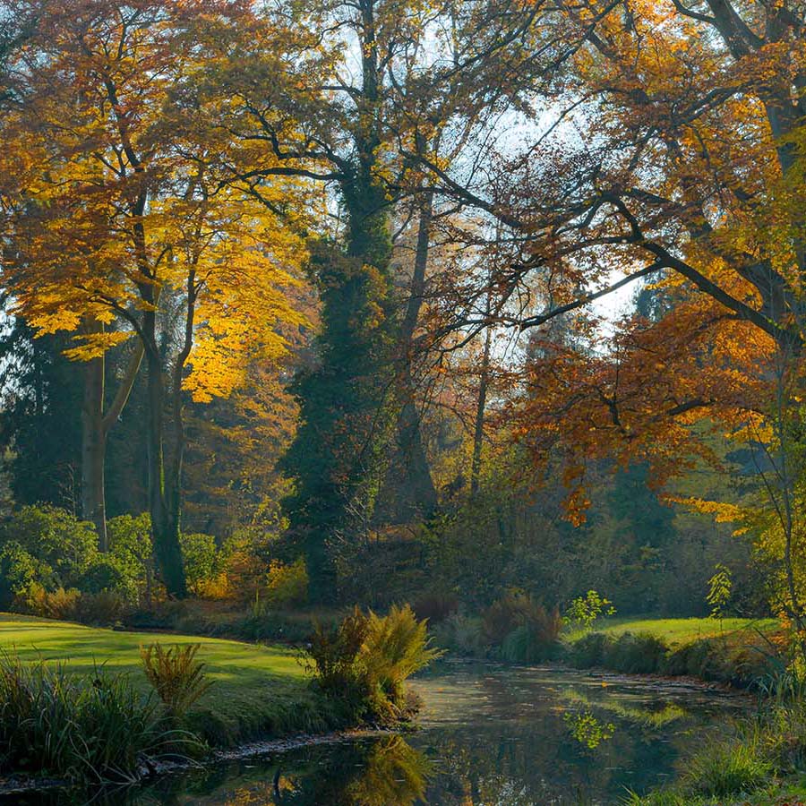 Parklandschaft Sanssouci