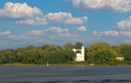 Pfau auf der Pfaueninsel