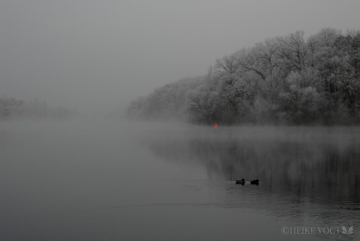 Der Griebnitzsee