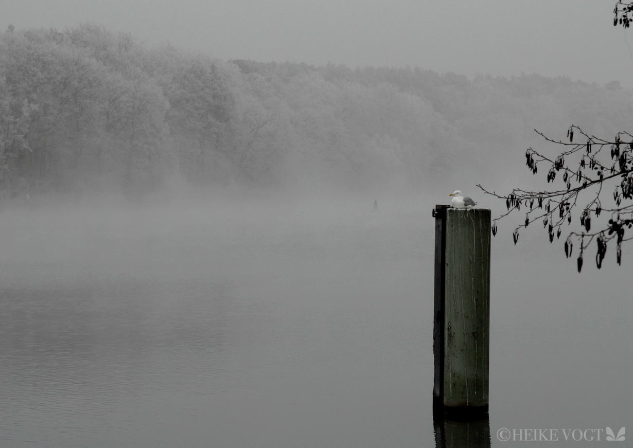 Der Griebnitzsee