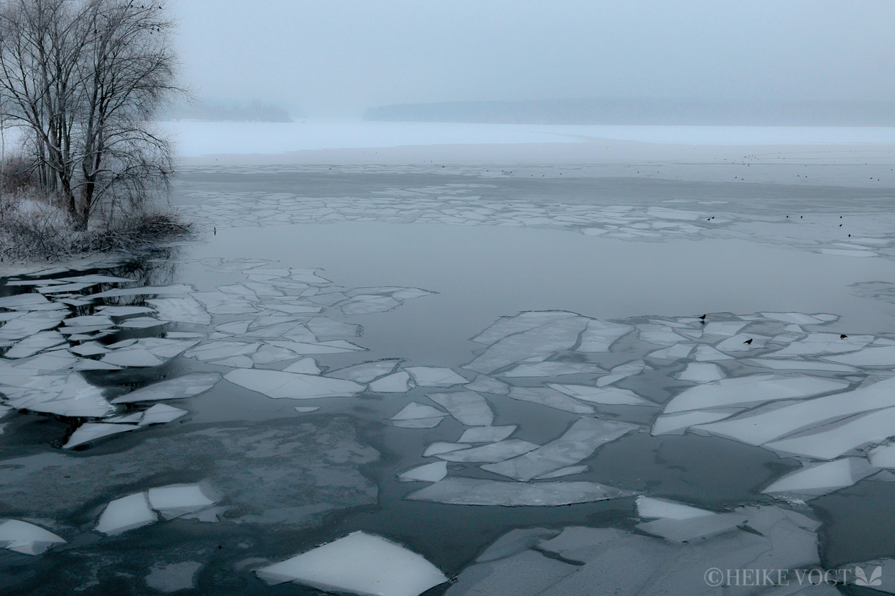 Der Jungfernsee