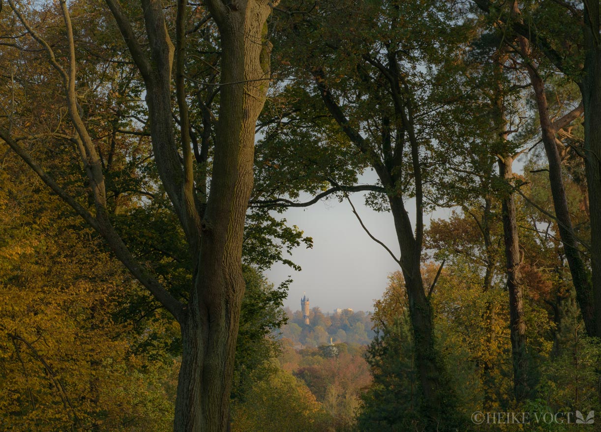 Blick vom Pfingstberg auf den Flatowturm