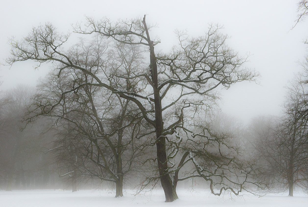 Der Neue Garten im Winter