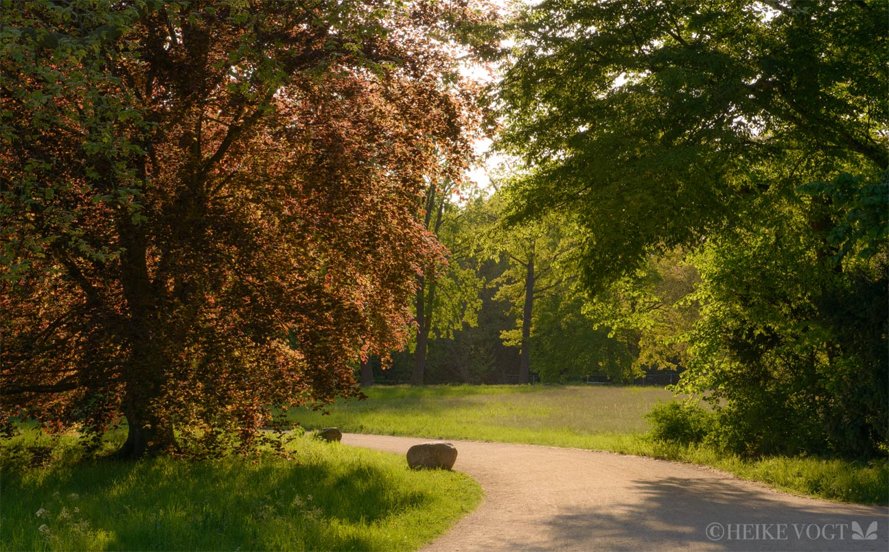 Der Neue Garten