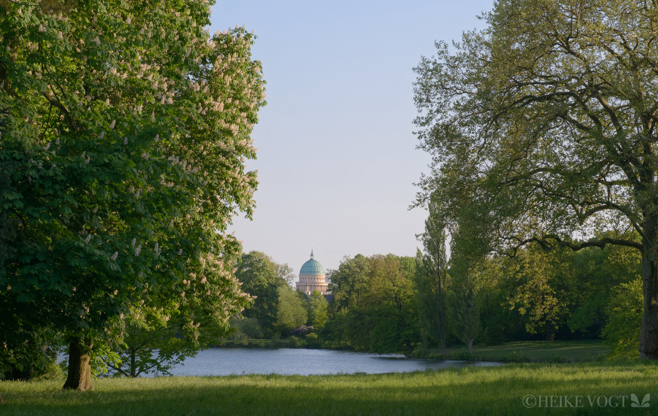 Der Neue Garten mit Blick auf die Nikolaikirche