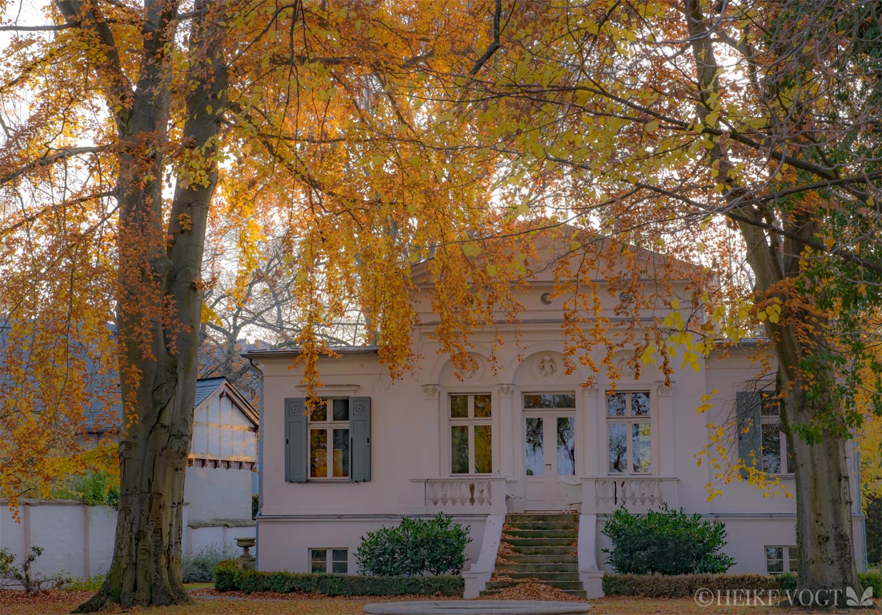 Villa Eckert an der Schwanenallee